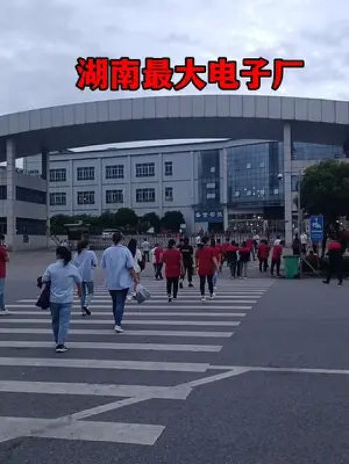 蓝思科技 湖南制造的王牌，十万员工的共同选择
